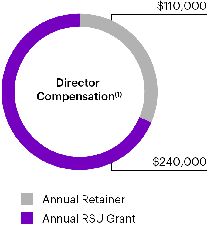 03_433244-1_chart_directorcompensation.jpg